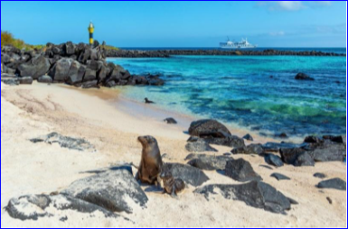 GALÁPAGOS SILVER – 4 NOCHES STA CRUZ (1 ISLA) – BOLETO AEREO FERIADO DIA DE MUERTOS 2024