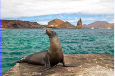 GALÁPAGOS RED – 3 NOCHES STA CRUZ + SAN CRISTOBAL (2 ISLAS) FERIADO DE DÍA DE MUERTOS 2024 SALIDA DESDE UIO – GYE